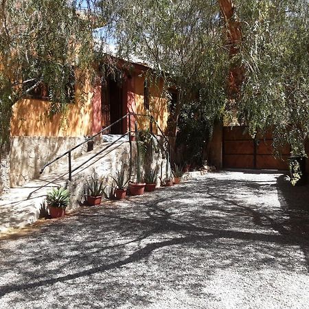 Bed and breakfast Casa Gabriela, Monte Grande ,Valle De Elqui Extérieur photo